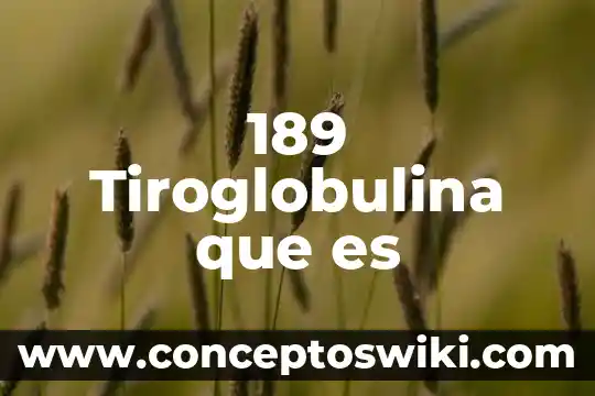Que es el codigo civil de veracruz 4 189 Tiroglobulina que es