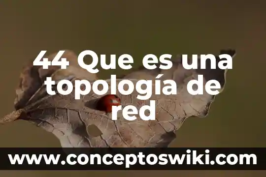 Que es l red de la gente 7 44 Que es una topología de red