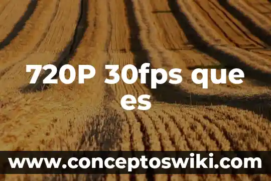 Qué es el reino animal equinodermes 4 720P 30fps que es