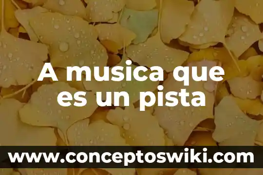 Que es una serenata musica clasica 5 A musica que es un pista