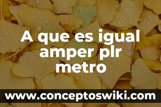 Por que es importante que la firma se a igual 6 A que es igual amper plr metro