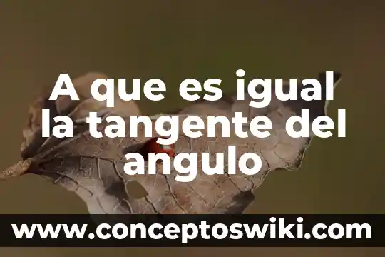 Por que es importante que la firma se a igual 8 A que es igual la tangente del angulo