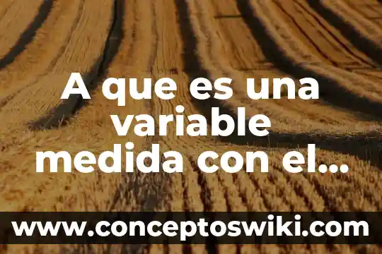 Significado que es muy variable 8 A que es una variable medida con el rehervidor