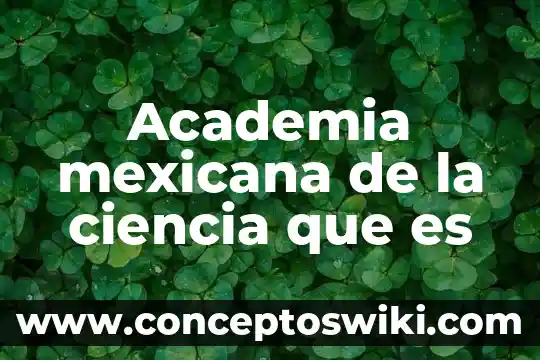 Que es una organizacion academia de la lengua 5 Academia mexicana de la ciencia que es