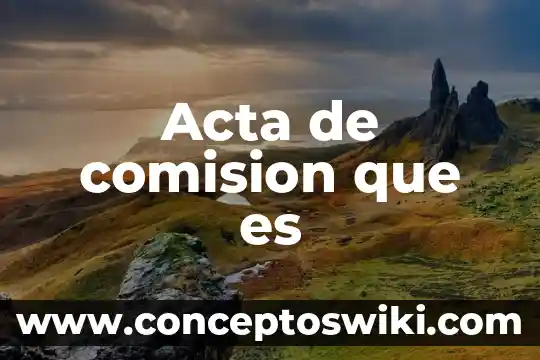 Que es comision por manejo de cuenta en hsbc 5 Acta de comision que es