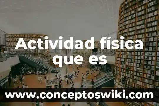 Qué es la actividad urinaria 8 Actividad física que es