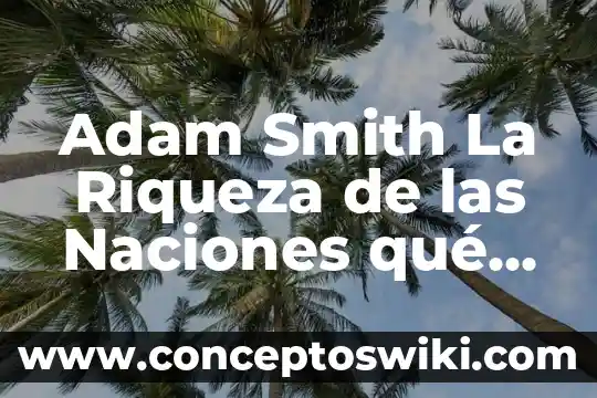 Que es la distribucion de la riqueza social 6 Adam Smith La Riqueza de las Naciones qué es