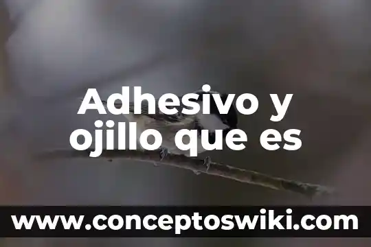 290 Cv que es 6 Adhesivo y ojillo que es