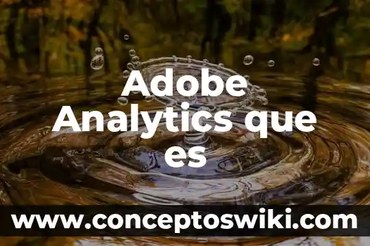 Para que sirve y que es adobe cs3 fireworks 5 Adobe Analytics que es