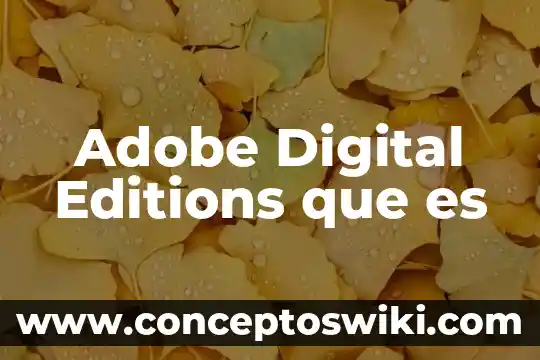 Para que sirve y que es adobe cs3 fireworks 6 Adobe Digital Editions que es