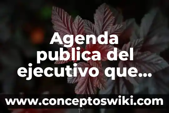 Información de que es una agenda 6 Agenda publica del ejecutivo que es