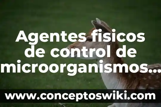 Que es un hechos fisicos 5 Agentes fisicos de control de microorganismos que es
