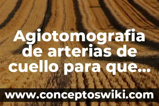 Que es policia judicial o policia investigador 5 Agiotomografia de arterias de cuello para que es