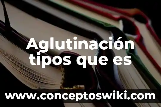 Qué es imán y cuántos tipos existen 4 Aglutinación tipos que es