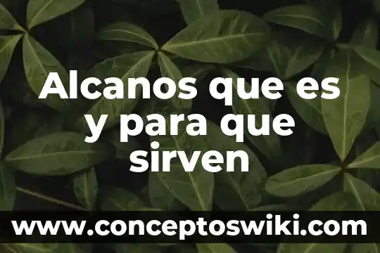 Qué es leer y para qué sirven los libros 7 Alcanos que es y para que sirven