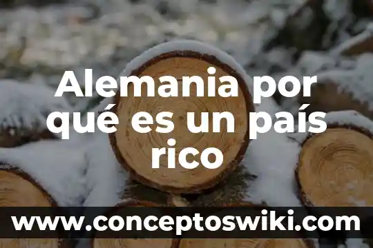 Por que es importante importar para un pais 7 Alemania por qué es un país rico