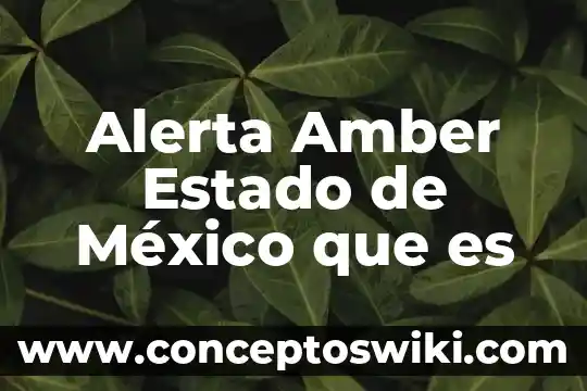 Por que es importante cambiar el modem mexico 3 Alerta Amber Estado de México que es