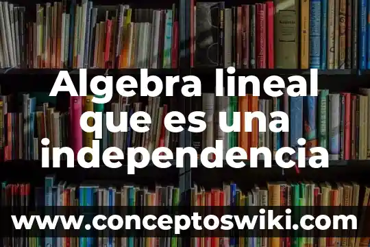 Que es el culturismo 4 Algebra lineal que es una independencia