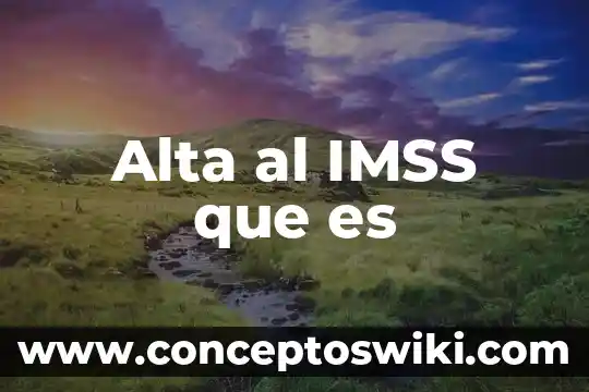 Qué es el número de afiliación ante el IMSS 8 Alta al IMSS que es