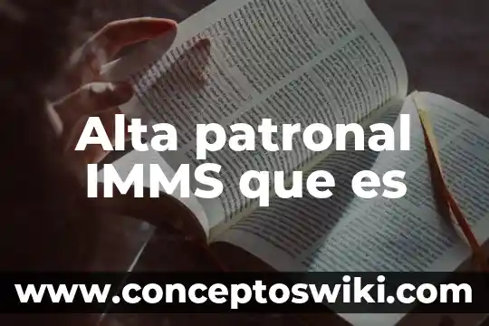 Qué es malla sol 3 Alta patronal IMMS que es