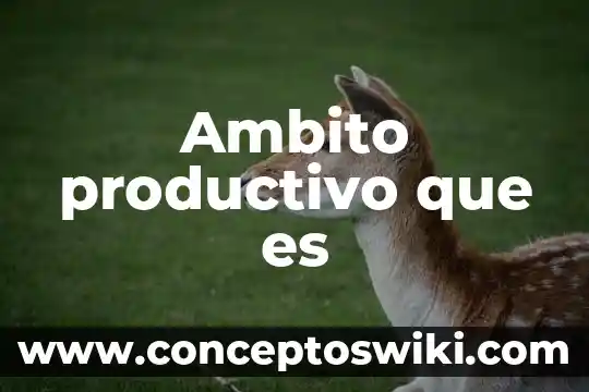 Que es tipo de operacion saldo 3 Ambito productivo que es