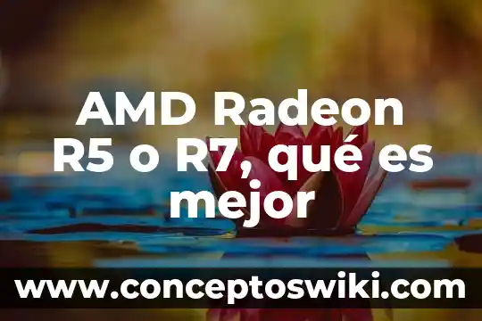 Programa amd software de que es 7 AMD Radeon R5 o R7, qué es mejor