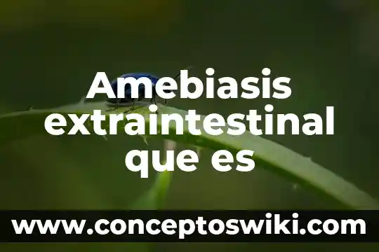 Qué es el símbolo matemático norma 7 Amebiasis extraintestinal que es