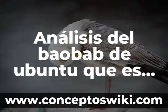 Que es el analisis sismico 3 Análisis del baobab de ubuntu que es cada cosa