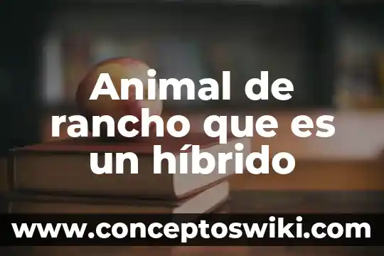 Que es un yak animal 3 Animal de rancho que es un híbrido
