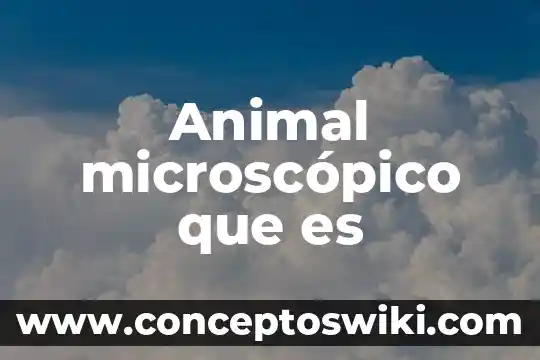 Que es la sabiduria terrenal animal y diabolica 3 Animal microscópico que es