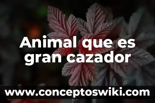 Hojaldre común que es 3 Animal que es gran cazador