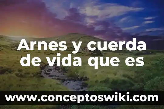 Que es la bebida vuelve a la vida 5 Arnes y cuerda de vida que es