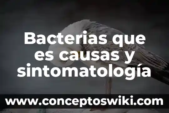 Que es una avalancha causas y consecuencias 3 Bacterias que es causas y sintomatología