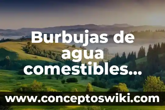 Que es el agua destilada y que es el alcohol 6 Burbujas de agua comestibles por qué es necesario
