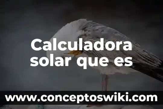 Que es una calculadora analogica 5 Calculadora solar que es