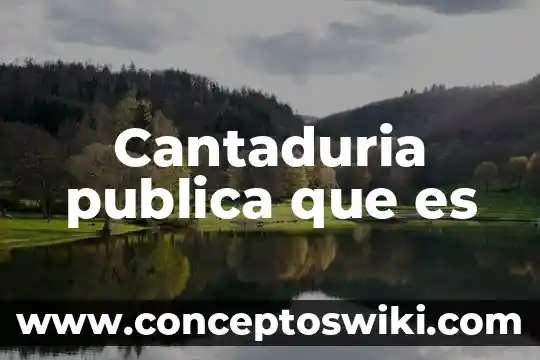 Que es la fe publica en la jurisprudencia 5 Cantaduria publica que es