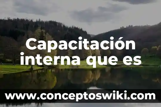 Que es a cuarentena externa e interna 4 Capacitación interna que es