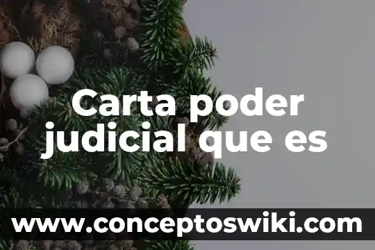 Que es una carta poder judicial 7 Carta poder judicial que es