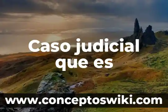 Que es una carta poder judicial 8 Caso judicial que es