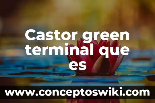Terminal tpv online que es 8 Castor green terminal que es