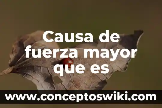 Que es fuerza mayor o el caso fortuito en derecho 4 Causa de fuerza mayor que es