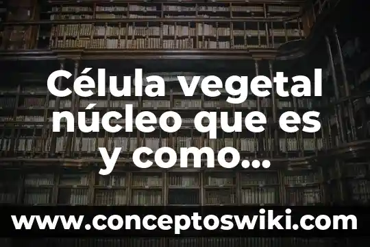 Conclusión de lo que es el núcleo celular 3 Célula vegetal núcleo que es y como funciona