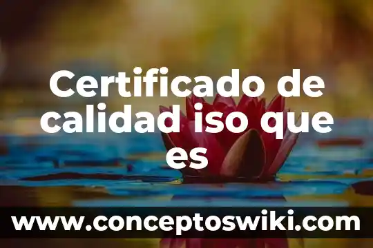 Que es la calidad deportiva 4 Certificado de calidad iso que es