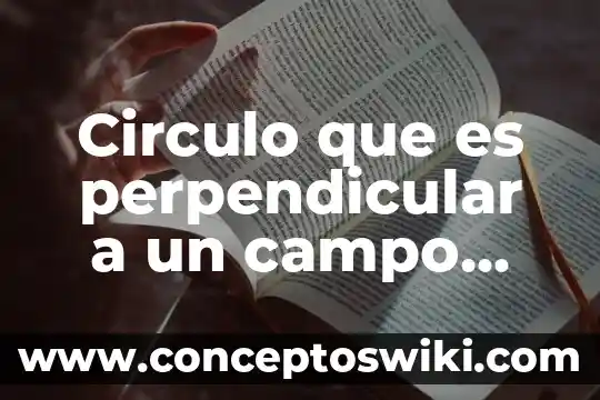 Qué es campo o espectro magnético 8 Circulo que es perpendicular a un campo magnetico
