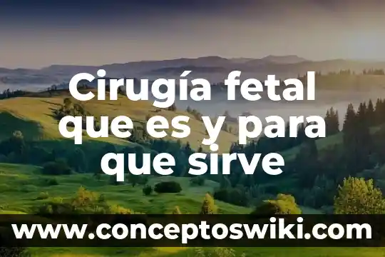 Desarrollo embrionario fetal que es 3 Cirugía fetal que es y para que sirve
