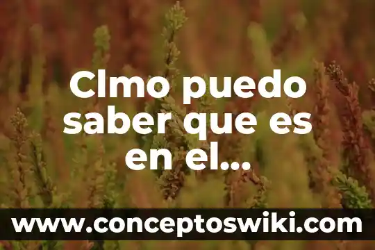 Qué es ultrasonido en tecnología de alimentos 7 Clmo puedo saber que es en el ultrasonido