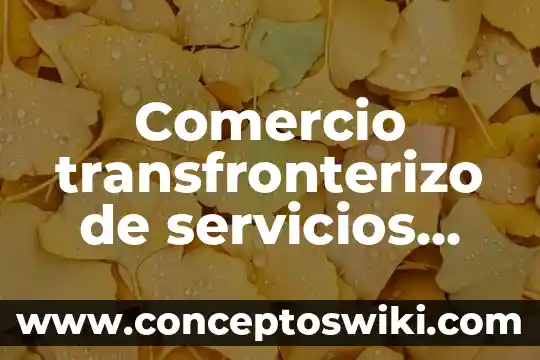 Que es la organizacion del comercio 4 Comercio transfronterizo de servicios Tlcan que es