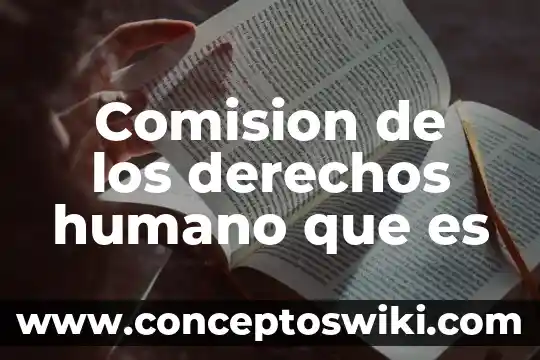 Nombre del empleo cargo o comisión que es residente 8 Comision de los derechos humano que es