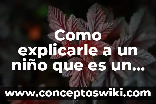Que es el fuero civil 4 Como explicarle a un niño que es un fuero