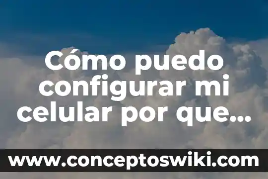Imss que es la firma digital no puedo ingresar 4 Cómo puedo configurar mi celular por que es muy lento